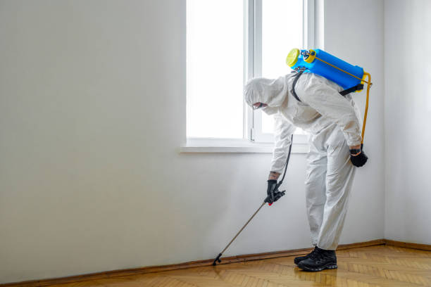 Best Termite Inspection and Treatment  in Harrison, MI